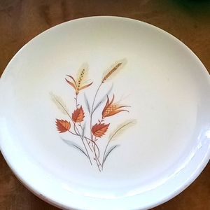 4 harvest wheat dessert or salad plates